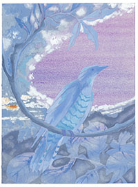 Dawn-Bird