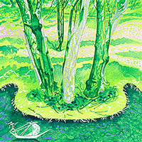 Meandering
