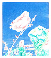 Sparrow
